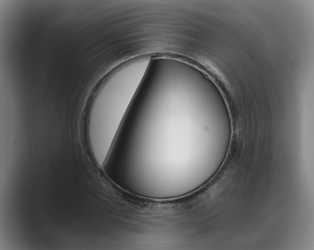 X0000089930877200706290753