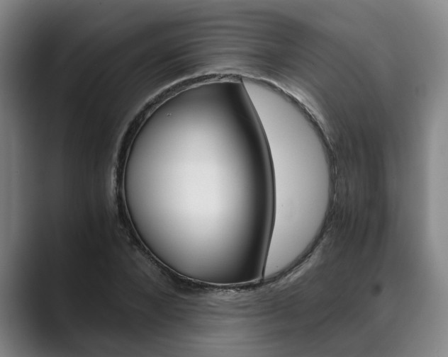 X0000089930880200706290753