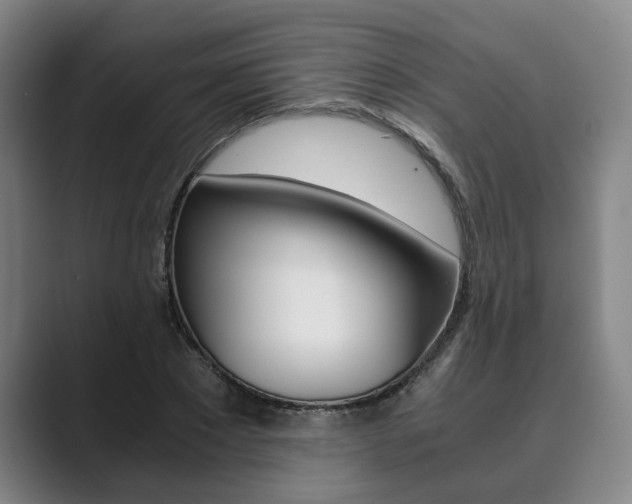 X0000089930881200706290753