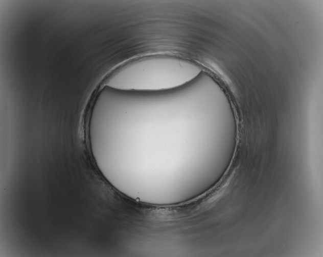 X0000089930883200706290753