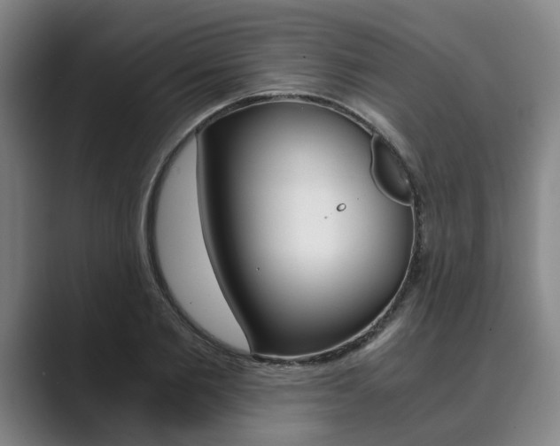 X0000089930885200706290753