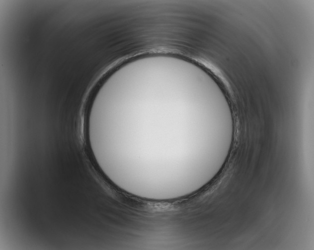 X0000089930886200706290753