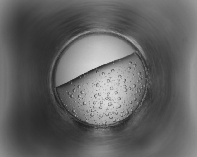 X0000089930887200706290753