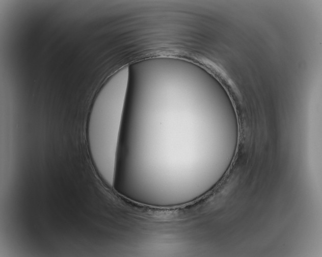 X0000089930889200706290753