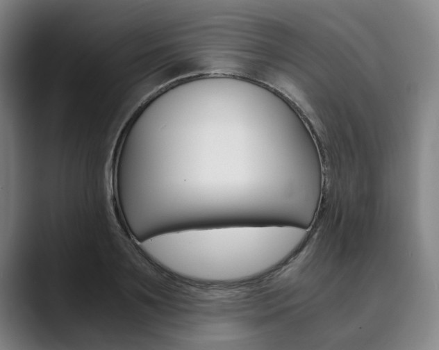 X0000089930891200706290753