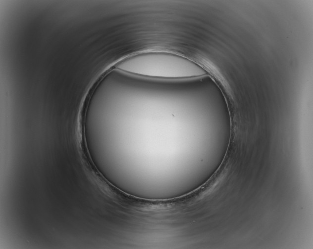 X0000089930892200706290753