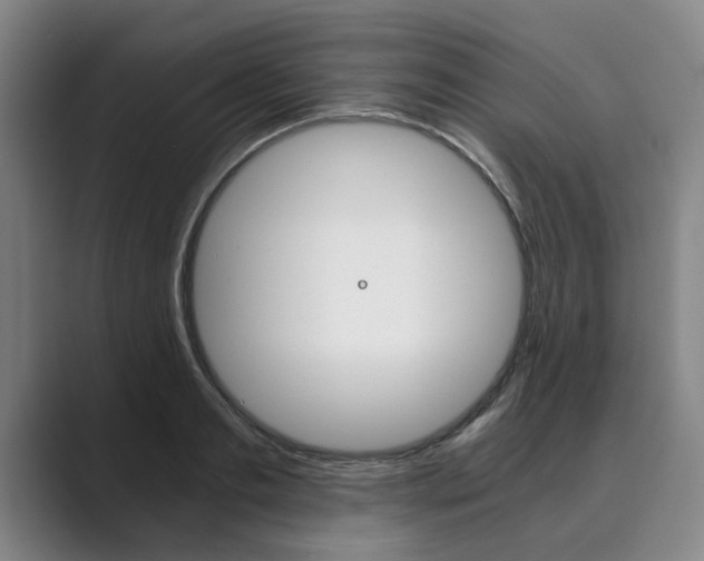 X0000089930893200706290753
