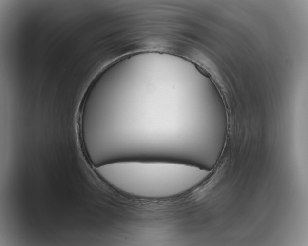 X0000089930899200706290753