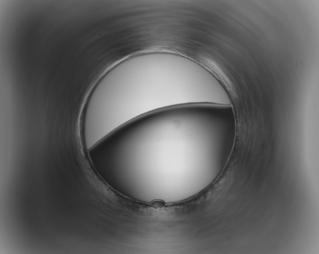 X0000089930900200706290753