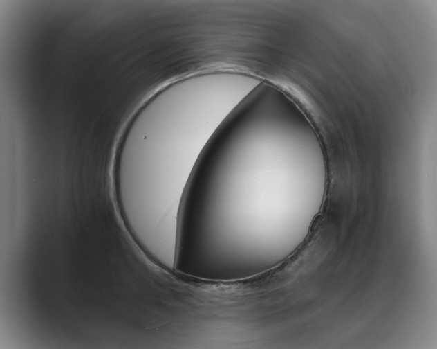 X0000089930902200706290753