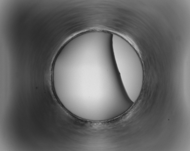 X0000089930903200706290753