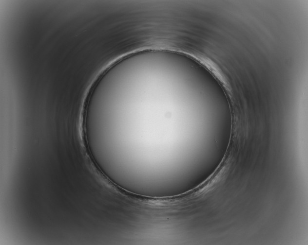 X0000089930904200706290753
