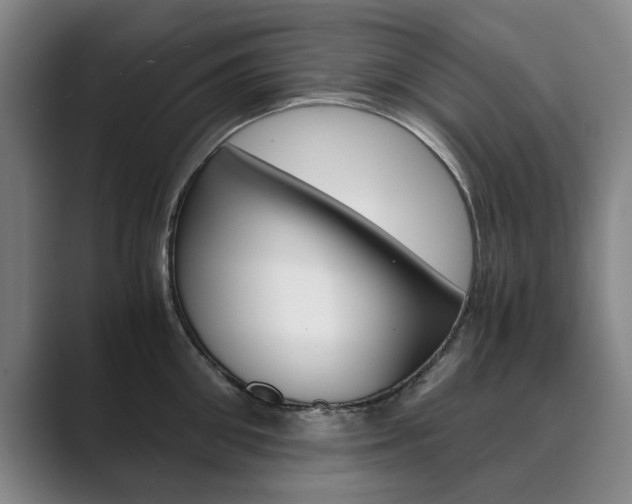 X0000089930906200706290753