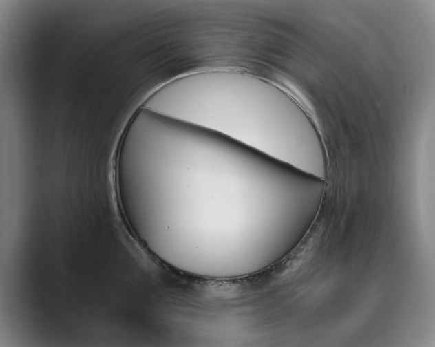 X0000089930907200706290753