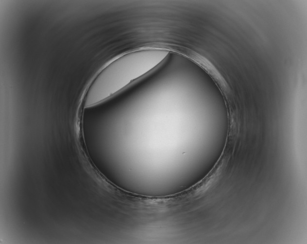 X0000089930908200706290753