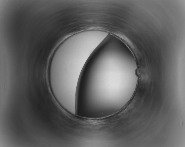 X0000089930910200706290753