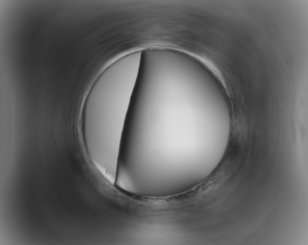 X0000089930911200706290753