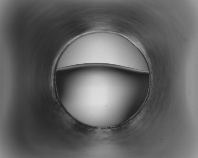 X0000089930912200706290753