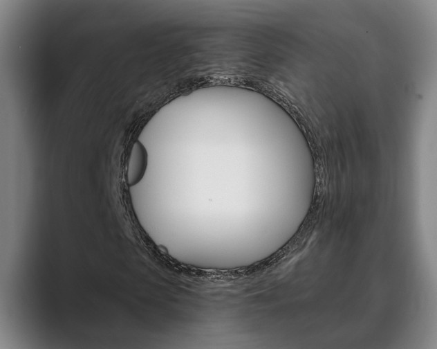 X0000089930913200706290752