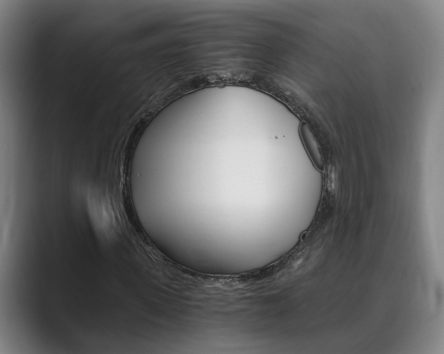 X0000089930915200706290752