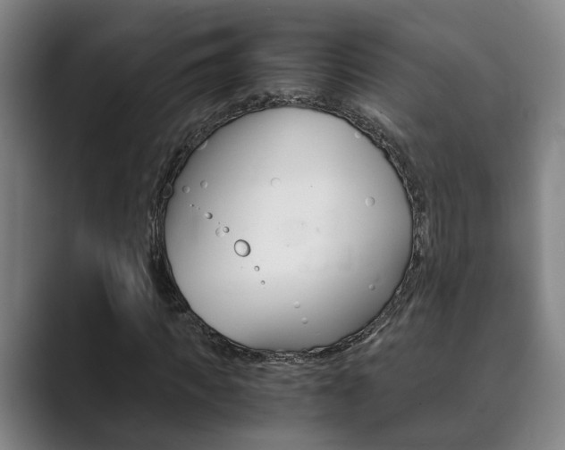 X0000089930917200706290752