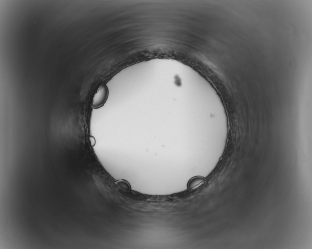 X0000089930918200706290752