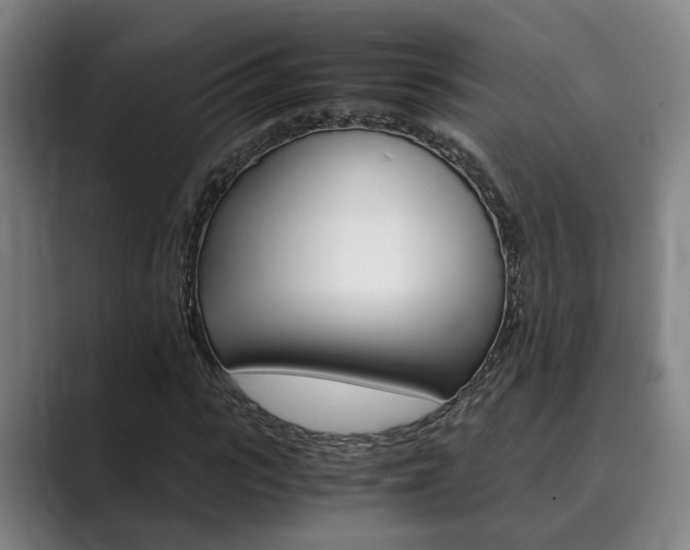 X0000089930919200706290752