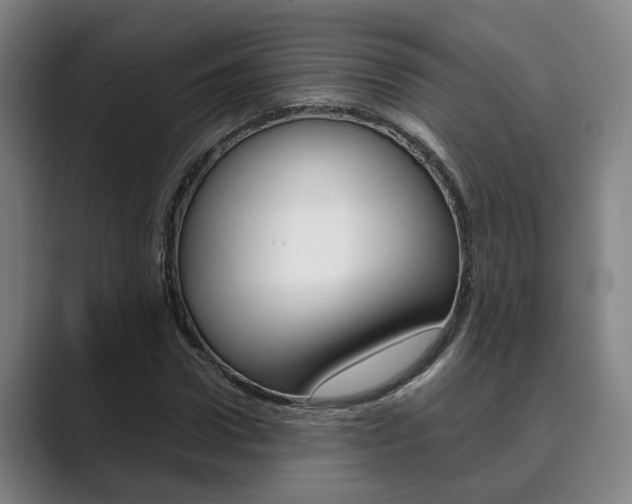 X0000089930922200706290752