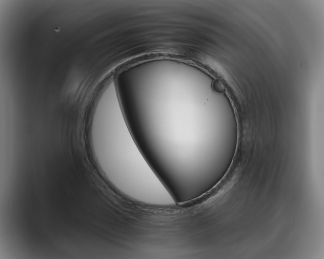 X0000089930923200706290752