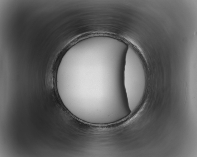 X0000089930925200706290752