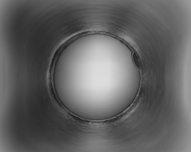 X0000089930928200706290752