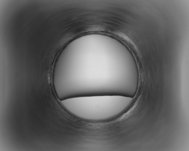 X0000089930929200706290752