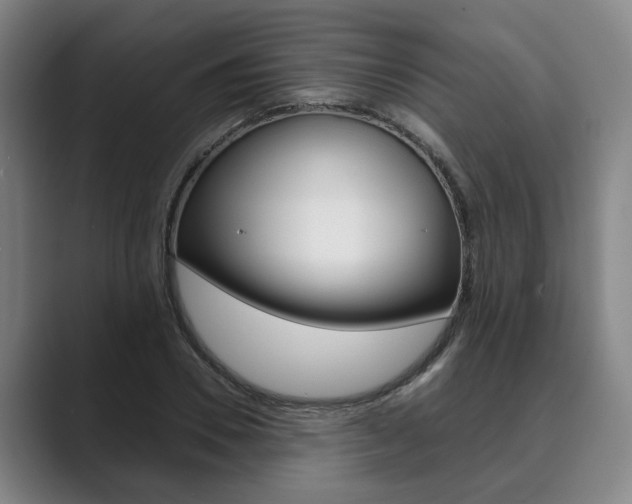 X0000089930930200706290752