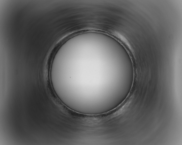 X0000089930931200706290752