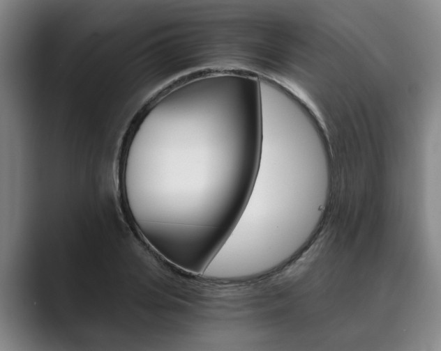 X0000089930935200706290752