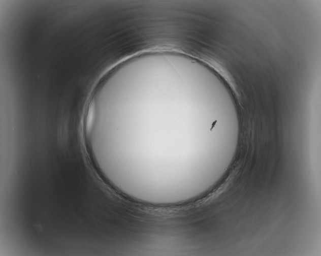 X0000089930936200706290752