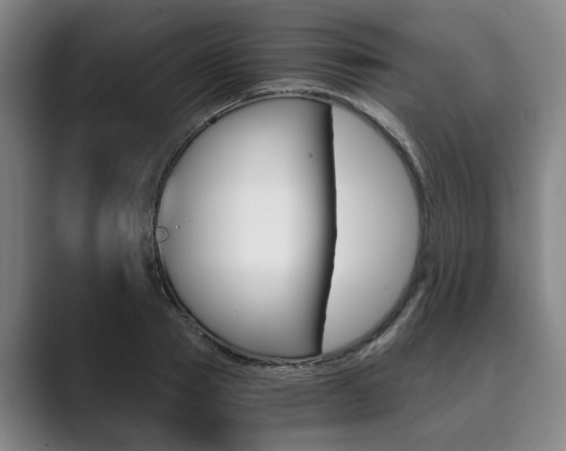 X0000089930937200706290752