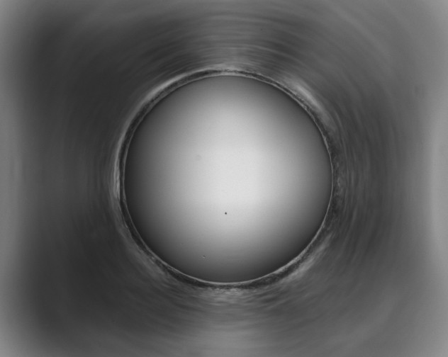 X0000089930940200706290752