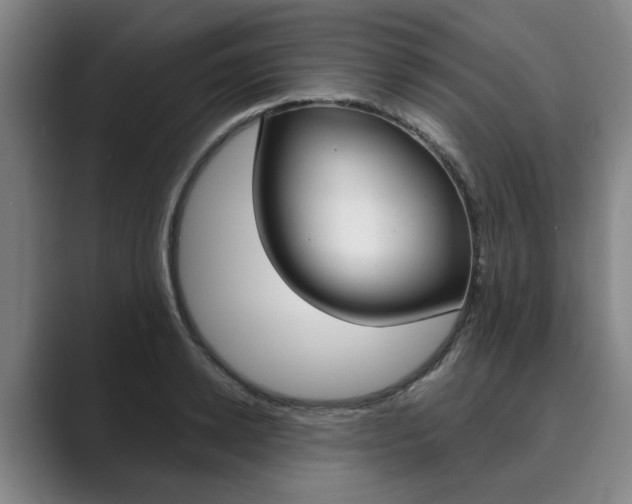 X0000089930942200706290752
