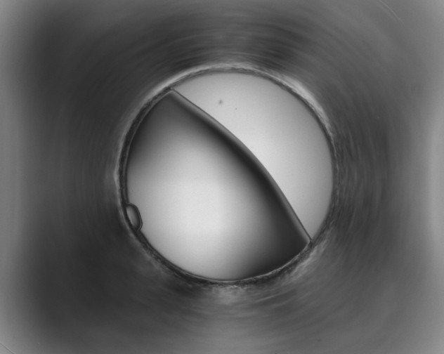 X0000089930943200706290752