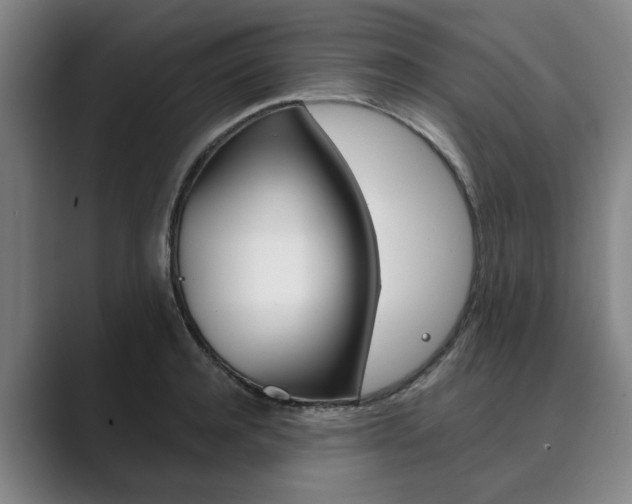 X0000089930944200706290752