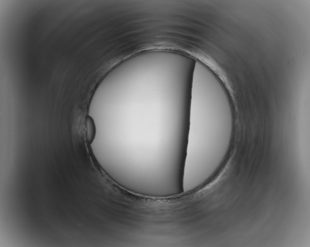 X0000089930945200706290752