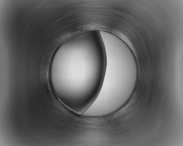 X0000089930946200706290752