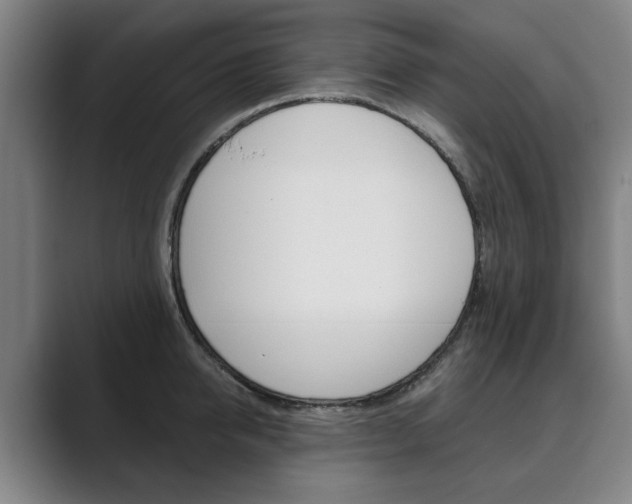 X0000089930950200706290752