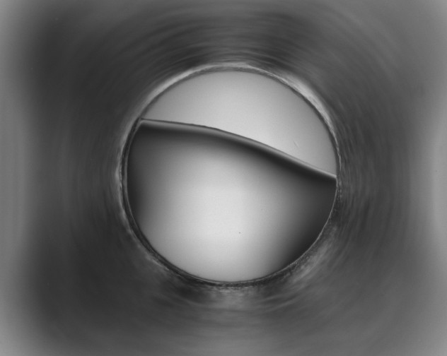 X0000089930951200706290752