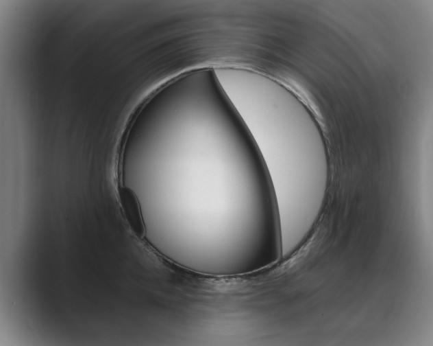 X0000089930952200706290752