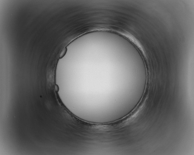 X0000089930953200706290752