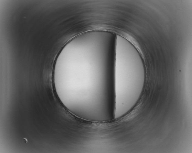X0000089930954200706290753