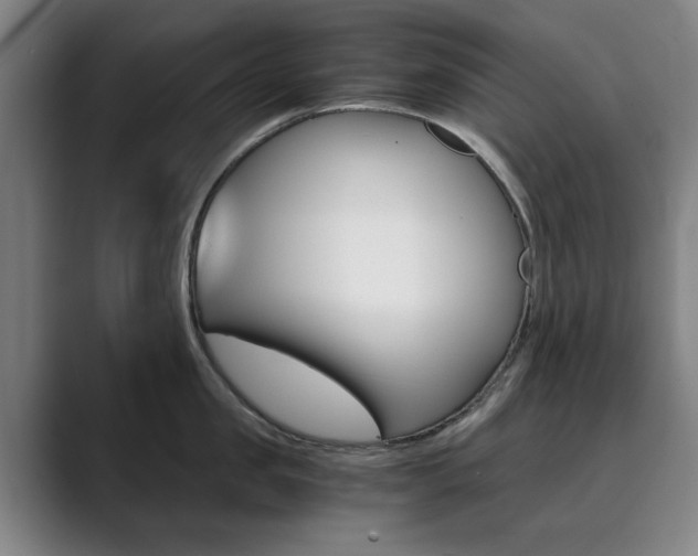 X0000089930957200706290753