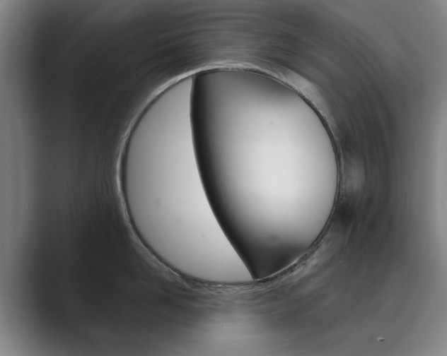 X0000089930958200706290753